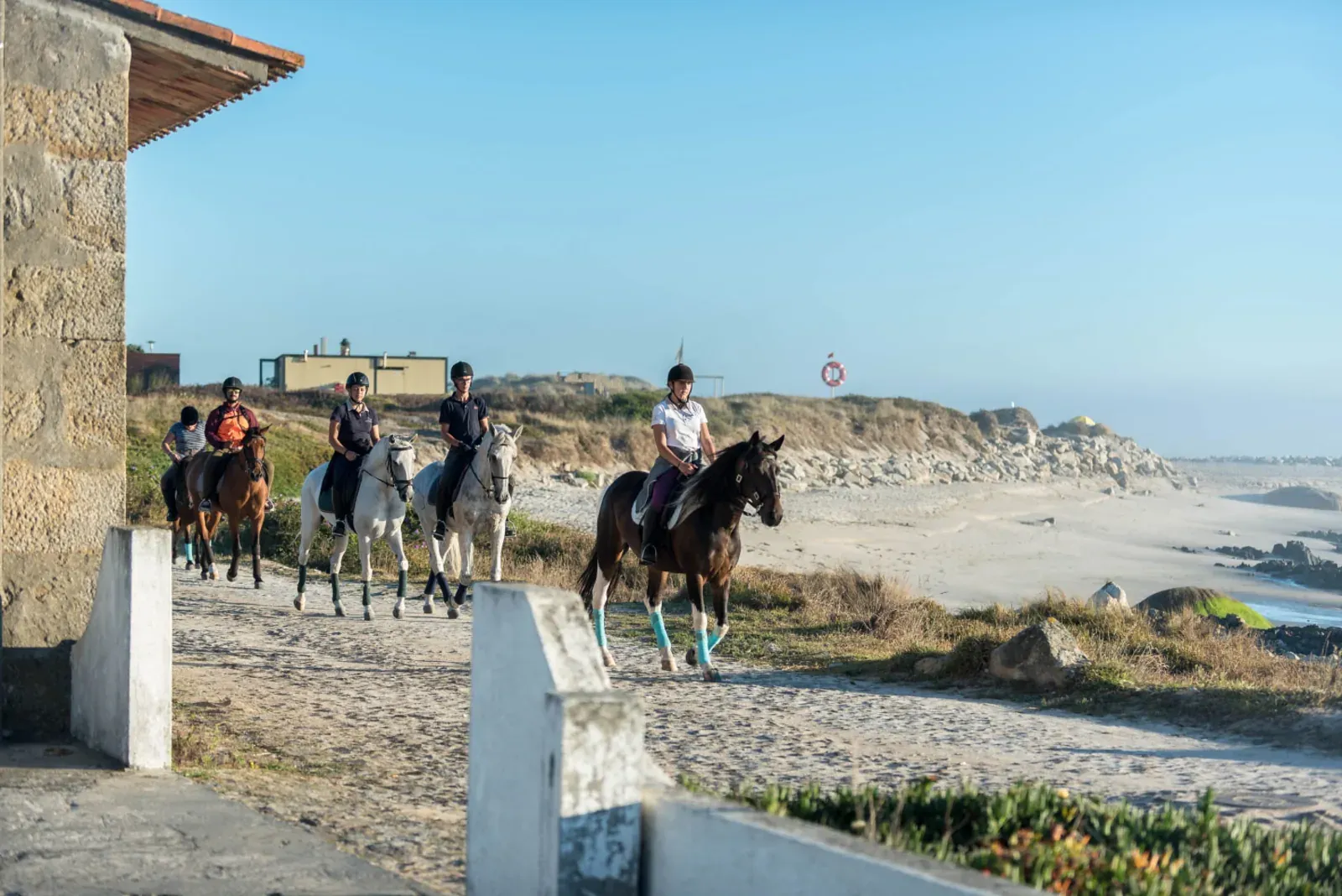 Grupo de peregrinos a caminhar no trilho costeiro entre campos verdes e o Atlântico, perto de Viana do Castelo