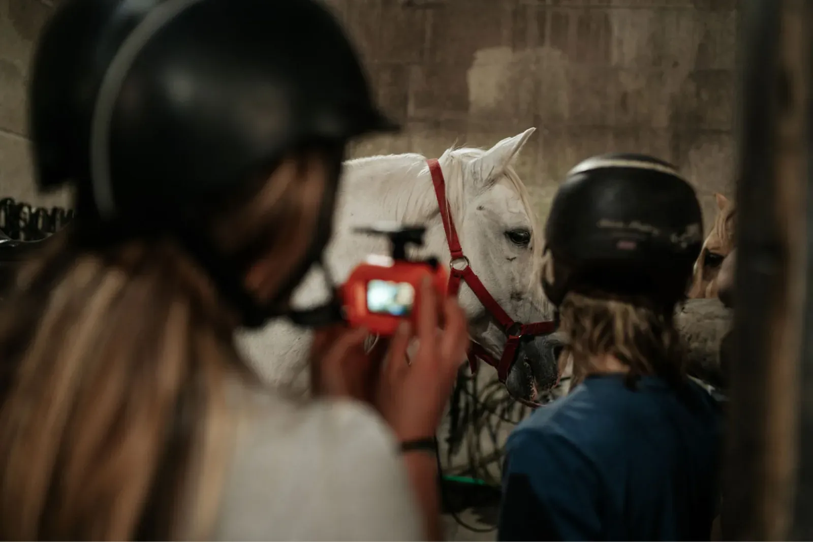 Criança de capacete a escovar um pónei nas cavalariças da VIANAEQUESTRE, na Areosa, com um monitor ao lado